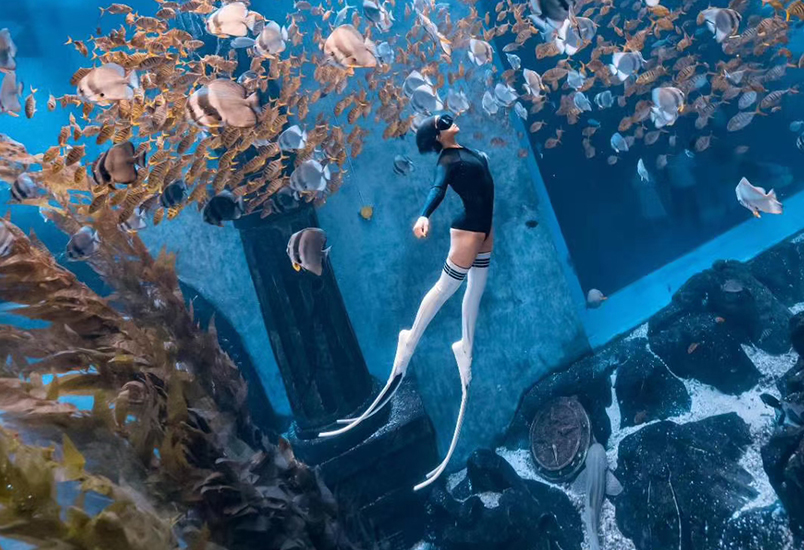 哈爾濱水下攝影公司